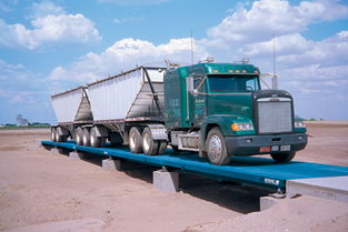 91免费看片的网址价格