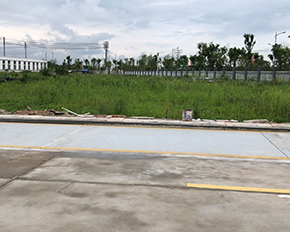 泰州正规的大型91免费视频APP污