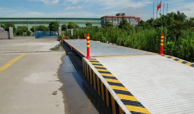 91免费看片的网址